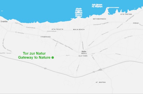 Karte Malia Kreta Ferienwohnung